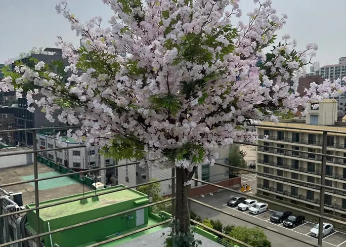 501, Seongsu Station Jungnangcheon Cherry Blossom Road River Airport Bus * Seoul