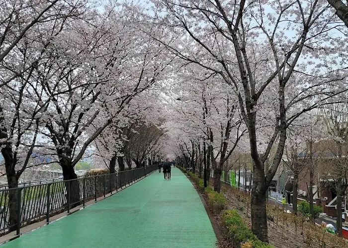 501, Seongsu Station Jungnangcheon Cherry Blossom Road River Airport Bus Apartment Seoul